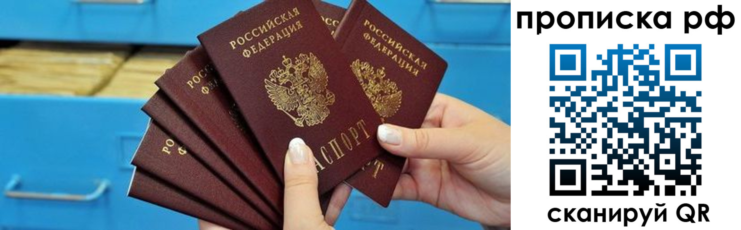 прописка поиск в Зее